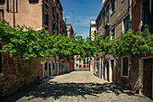 Gasse in Venedig, Italien