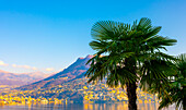 Stadtbild über Lugano mit Palme und Berg und Luganersee an einem sonnigen Tag im Tessin, Schweiz