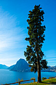 Zypresse und Luganersee mit Berg und blauem Himmel im Park San Michele in Castagnola in Lugano, Tessin in der Schweiz