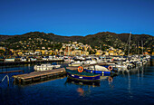 Jachthafen von Rapallo im Abendlicht, Rapallo, Riviera di Levante, Ligurien, Italien