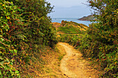 Hiking path on the coast in Normandy.