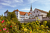 Schloss Hartenfels im Vordergrund Rosen,Sachsen, Deutschland
