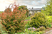 Front Lawns at The Garden House, Yelverton, Devon, England