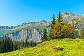 Druesberg, Glarner Alpen, Kanton Schwyz, Schweiz