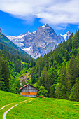 Hütte in der Nähe von Roselaui mit den Wellhörnern, Berner Oberland, Kanton Bern, Schweiz