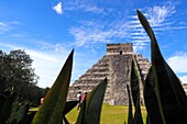 Chichen Itza Mayan site, Yucatan, Mexico