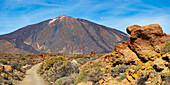 El Teide National Park, behind it the Pico del Teide, 3715m, World Heritage Site, Tenerife, Canary Islands, Spain, Europe