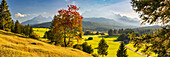 Buckelwiesen zwischen Mittenwald und Krün, Werdenfelser Land, dahinter das Wettersteingebirge, Oberbayern, Bayern, Europa