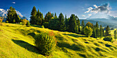 Buckelwiesen between Mittenwald and Krün, Werdenfelser Land, Upper Bavaria, Bavaria, Europe