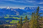 View of the Tyrolean Alps from the Wetterkreuz near Reit im Winkl. Upper Bavaria, Bavaria, Germany