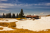 Alpine hut in spring with residual snow Fields in sunshine. Reit im Winkl, Upper Bavaria, Bavaria, Germany