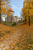 Weg zur Burg Cesis im Herbst, Lettland, Baltikum. Gelbes Laub.