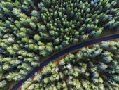 Aerial view, lonely road in the forest, curve. Virve, Harju, Estonia, Baltic States.