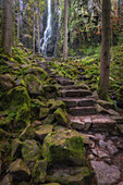 Path with steps to Burgbach waterfall, Bad Rippoldsau-Schapbach, Black Forest, Baden-Würtenberg, Germany. Forest