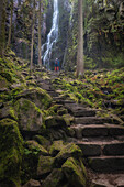 People in front of Burgbach waterfall, Bad Rippoldsau-Schapbach, Black Forest, Baden-Würtenberg, Germany. path with steps.