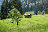 Haystacks on alpine meadow, Oberstdorf, Allgäu, Bavaria, Germany