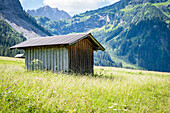 Haystacks on alpine meadow, Tannheimer Tal, Vilsalpsee, Austria