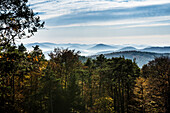 Autumn colored forest and mountains, view from Rehbergturm, Annweiler, Palatinate Forest, Rhineland-Palatinate, Germany