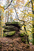 Herbstlich verfärbter Wald und Sandsteinfelsen, Rehbergturm, Annweiler, Pfälzer Wald, Rheinland-Pfalz, Deutschland