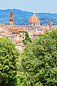 Vew of Cathedral of Saint Mary of the Flower and Palazzo Vecchio from Bardini gardens, Florence, Tuscany, Italy
