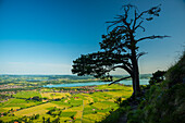 Panorama from the Tegelberg massif, Fussen, Waltenhofen, Forggensee and Hopfensee, Ostallgäu, Allgäu, Swabia, Bavaria, Germany, Europe