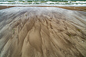 Sandy beach on the Baltic Sea, Western Pomerania Lagoon Area National Park, Fischland-Darß-Zingst, Mecklenburg-West Pomerania, Germany