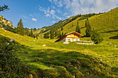 Mehrere Almen auf dem Weg zum Gipfel des Geigelsteins, auch Blumenberg genannt. Schleching, Chiemgauer Alpen, Oberbayern, Bayern, Deutschland, Europa