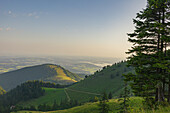 Blick von der Kampenwand auf den Chiemsee im Sonnenaufgang. Im Vordergrund, sieht man einen Wanderweg. Aschau im Chiemgau, Chiemgau, Oberbayern, Bayern, Deutschland, Europa