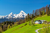 Blick  auf Watzmann (2.713 m), Berchtesgaden, Oberbayern, Bayern, Deutschland