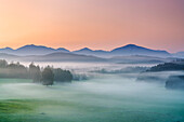Morning fog near Riegsee with a view of the Jochberg (1,565 m), Upper Bavaria, Bavaria, Germany
