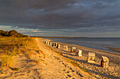 Morning at the beach of Prerow, Fischland-Darß-Zingst, Mecklenburg-West Pomerania, Germany