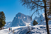 Walkers, mountain panorama, Compaccio, Alpe di Siusi, South Tyrol, Alto Adige, Italy