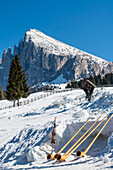 Ski equipment, alphorns, Plattkofel, Compatsch, Seiser Alm, South Tyrol, Alto Adige, Italy
