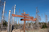Signpost, dead spruce, hiking trail to the Brocken, Harz National Park, Torfhaus, Lower Saxony, Germany