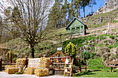 mit bunten Ostereiern geschmückte Osterquelle an der Trubachquelle in Obertrubach in der Fränkischen Schweiz, Bayern, Deutschland