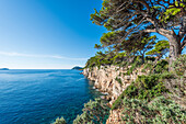 Steilküste auf der Insel Koločep nahe Dubrovnik, Kroatien