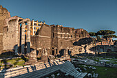 Remains of the Mars Ultor Temple of Augustus Forum, Rome, Lazio, Italy, Europe