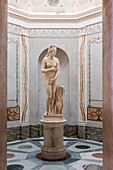Statues, sculptures, busts, Capitoline Museum, Palazzo dei Conservatori, Rome, Lazio, Italy, Europe