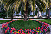 Flower bed at Palazzo Madre on Isola Madre, Stresa; Lake Maggiore; Borromean Islands; Piedmont; Italy