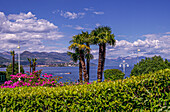 On the promenade of Lake Maggiore in Stresa overlooking the lake and the Alps, Stresa, Piedmont, Italy