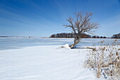 Winter at the Saint Lawrence River