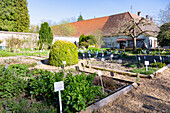 Inzigkofen, Kräutergarten des ehem. Klosters Inzigkofen im Fürstlichen Park Inzigkofen, in der Schwäbischen Alb, Baden-Württemberg, Deutschland