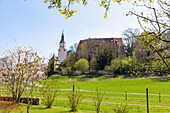 Neufra; Schloss Neufra und Kirche St. Peter und Paul, in der Schwäbischen Alb, Baden-Württemberg, Deutschland