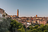 Vom kleinem Park Orto Dei Tolomei gibt es schönen Blick auf Altstadt und Landschaft der Ebene, Siena, Toskana, Italien, Europa