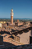 View of Torre del Mangia tower, Palazzo Pubblico town hall, Siena, Tuscany, Italy, Europe