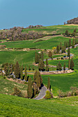 Famous winding road near Monticchiello, Tuscany, Italy, Europe