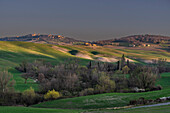 Pienza, Val d'Orcia, Provinz Siena, Toskana, Italien, UNESCO Welterbe,  Europa
