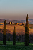 Die Kapelle Madonna di Vitaleta, Landschaft bei Pienza, Val d'Orcia, Provinz Siena, Toskana, Italien, UNESCO Welterbe,  Europa