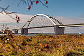 View of the Fehmarn Sound Bridge. Out of focus in the foreground. Fehmarn, Baltic Sea, Ostholstein, Schleswig-Holstein, Germany, Europe