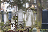 Davidstern, Gräber, jüdischer Friedhof, Magdeburg, Sachsen-Anhalt, Deutschland